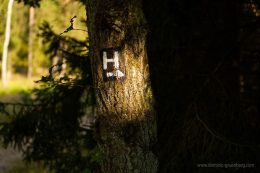 So sehen oft die gut verbreiteten Streckenhinweise für den Heidschnuckenweg aus.